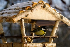 Как сделать кормушку для птиц своими руками – пошаговые фото (кормушка, птица, пошаговые, фото, боковые стенки) птица