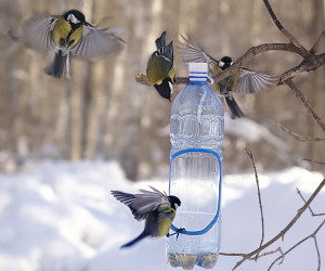 Как сделать кормушку для птиц своими руками – пошаговые фото (кормушка, птица, пошаговые, фото, боковые стенки) пошаговые