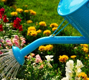 Сухой ручей в ландшафтном дизайне своими руками – мастер-класс (ручей, ландшафтный, дизайне, сухого ручья, водного потока, сухой ручей) водного потока