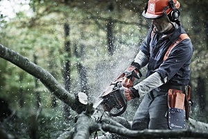 Как выбрать бензопилу выбор марки бензопилы по цене и качеству для дома и дачи, рейтинг лучших (бензопила, марка, цена, дача, рейтинг, приусадебном участке) бензопила