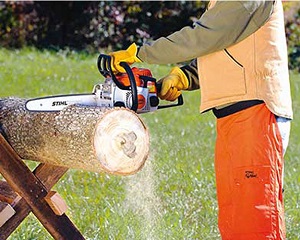 Как выбрать бензопилу выбор марки бензопилы по цене и качеству для дома и дачи, рейтинг лучших (бензопила, марка, цена, дача, рейтинг, приусадебном участке) дача