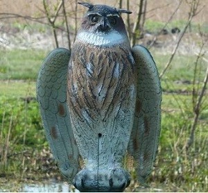 Отпугиватель птиц своими руками схема ультразвуковой отпугиватель голубей, как сделать средство для (отпугиватель, птица, ультразвуковой, голубь, средство, отпугивания птиц) средство