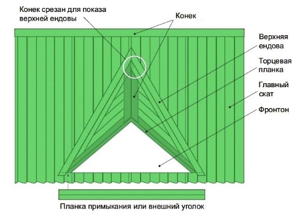 слуховое_окно_