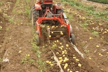 Картофелекопалка для минитрактора — незаменимый помощник в работе на огороде
