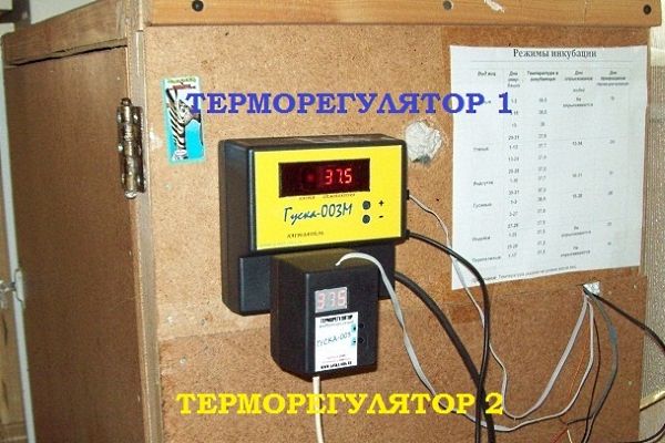 Терморегулятор