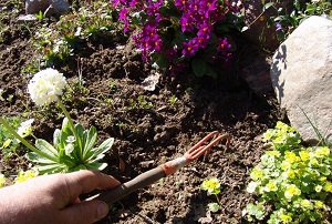 Рыхление и прополка почвы - важный этап в уходе за цветником