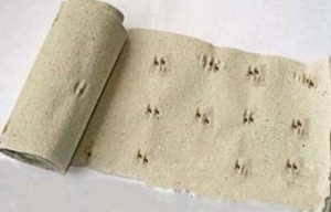 Туалетная бумага - подходящий материал для посадки семян