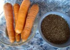 Семена моркови содержат большое количество эфирных масел, из-за этого они очень долго прорастают. Срок их прорастания составляет до 21 дня, чтобы ускорить этот процесс опытные огородники советуют предварительно их замачивать 