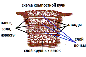 Схема-компостной-ямы