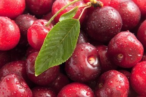 Плоды вишни сорта "Чернокорка"