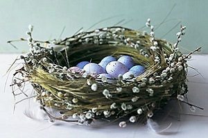 Гнездо из веток своими руками — изготовление декоративного птичьего жилища