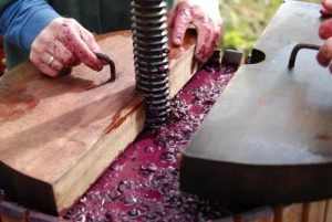 Как сделать пресс для винограда своими руками