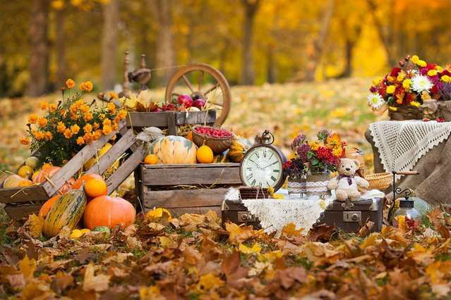 Осенняя Фотозона Фото