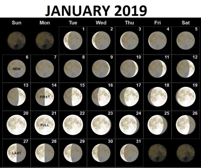 lunar calendar in forex