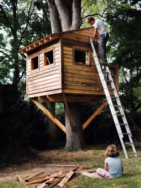 Небольшой домик на дереве