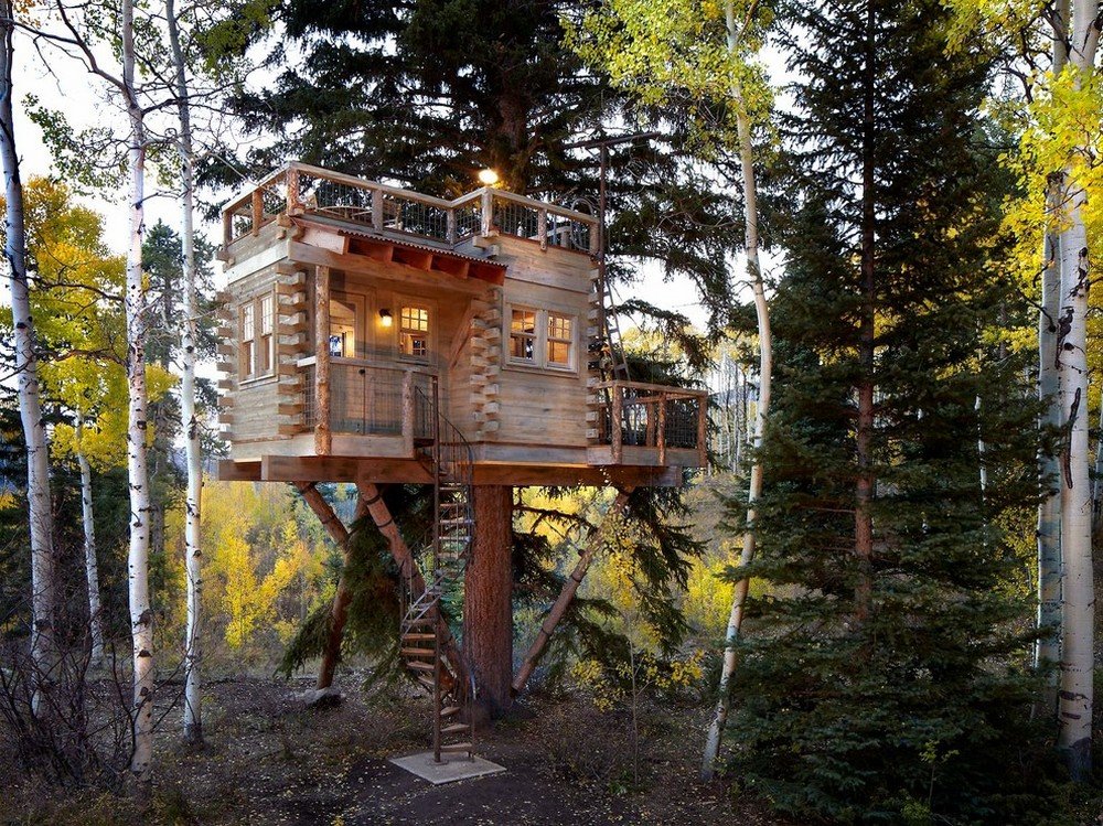 Tree house is