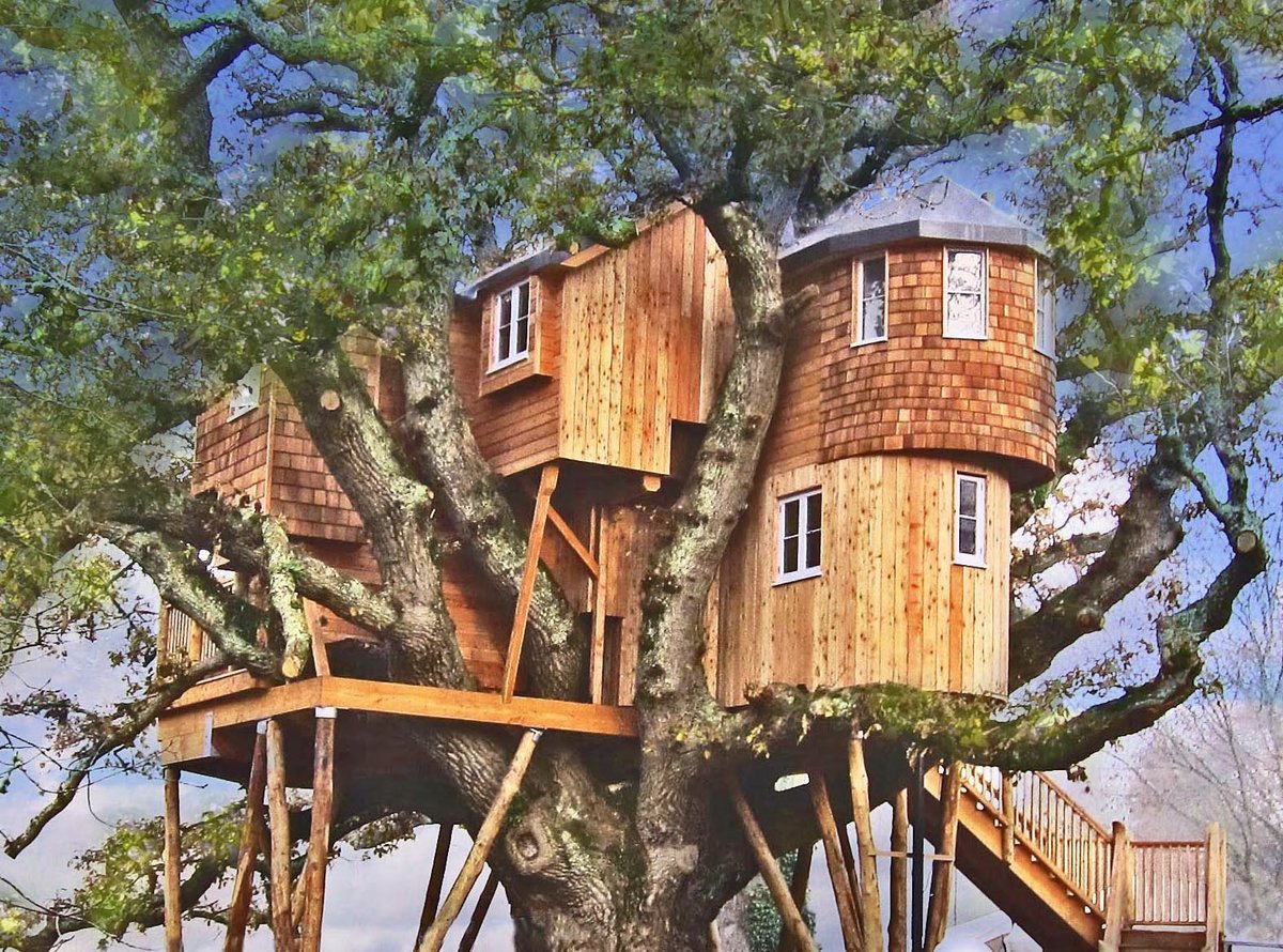 картинки домиков на дереве