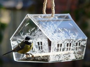 Разбор приметы птица залетела в дом (разбор, примета, птица, залететь, птица залетела) птица залетела