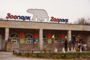 Стало известно, как Ленинградский зоопарк отметит день рождения