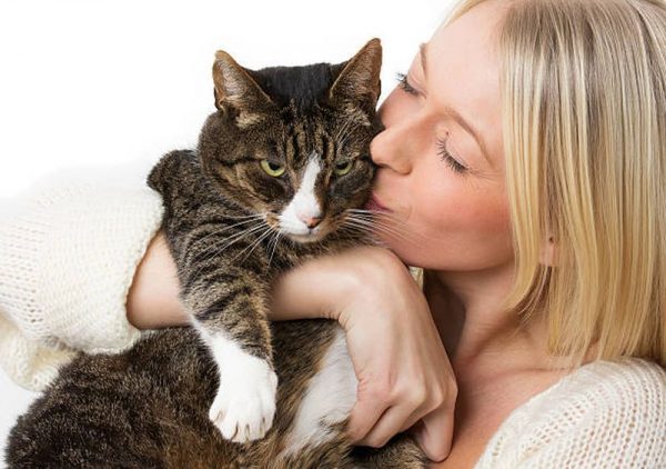 девушка целует кошку