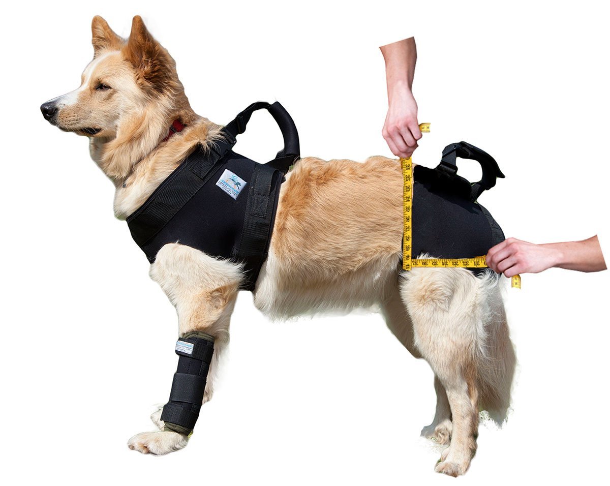 Транспортировочный бандаж для собак, m: 60-65 см/10-25 кг