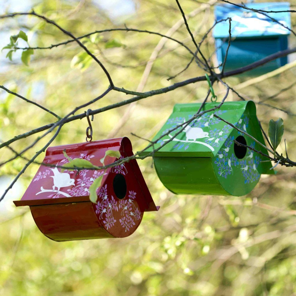 фото кормушек для птиц из пластиковых