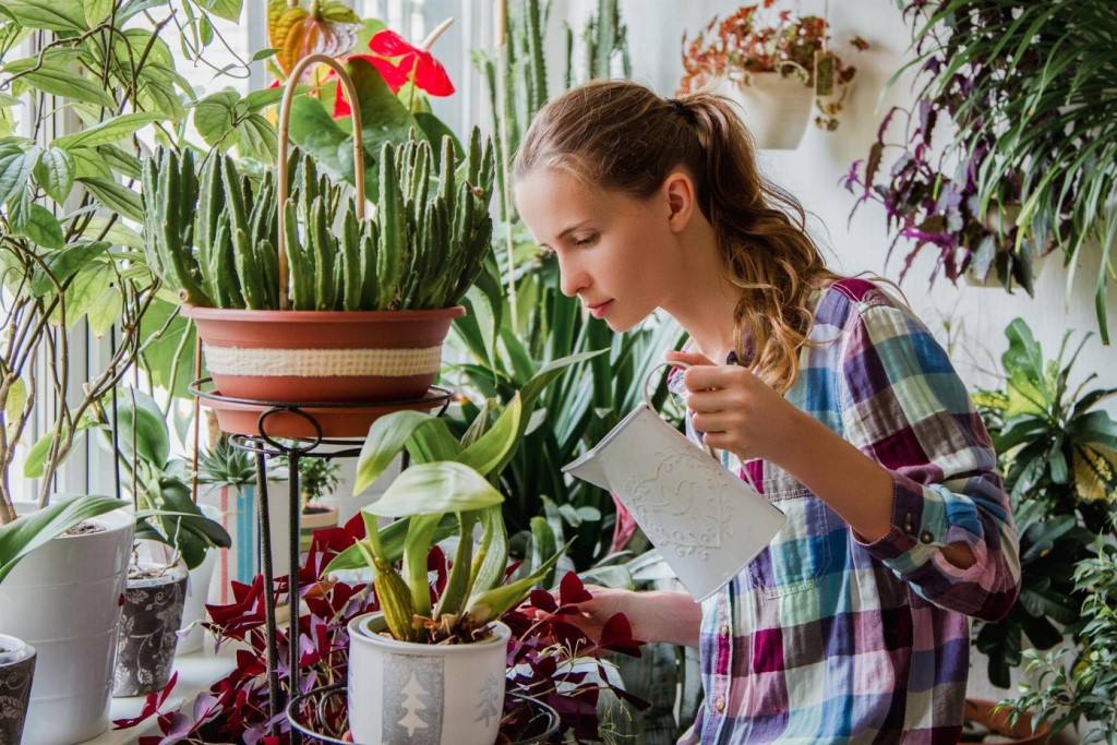 Как приготовить 5 натуральных удобрений для цветов из подручных средств