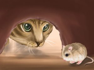 кошка и крыса